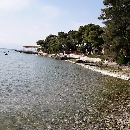 Neraidas In On The Sea