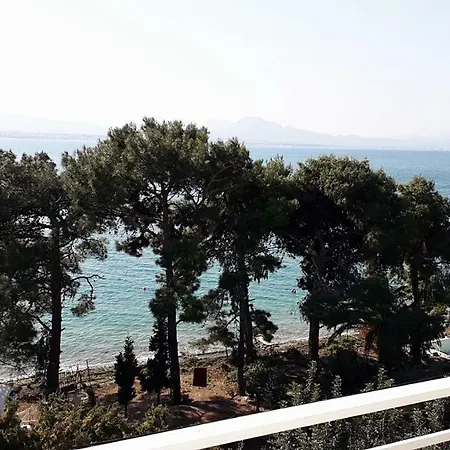 Neraidas In On The Sea *